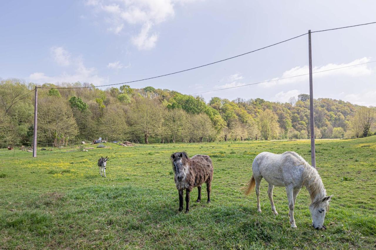 Gite Le Moulin Pocheluberry Bidache Eksteriør billede
